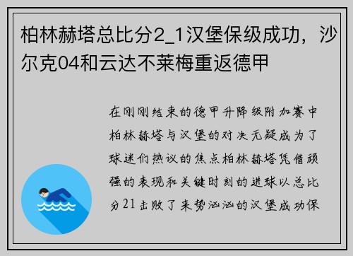 柏林赫塔总比分2_1汉堡保级成功，沙尔克04和云达不莱梅重返德甲