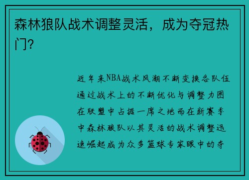 森林狼队战术调整灵活，成为夺冠热门？